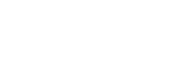 نیٹلنگ logo